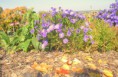 /album/deti-foti-/cimg5717-jpg/