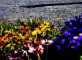/album/deti-foti-/dsc02251-jpg/