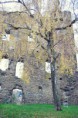 /album/deti-foti-/a1513864-1538833423023931-2803862540033171059-n-jpg/