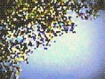 /album/deti-foti-/a10847882-1538833653023908-620141372127068144-n-jpg/