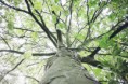 /album/deti-foti-/a10801585-1538833816357225-2686459432285926332-n-jpg/