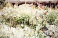 /album/deti-foti-/a1780908-1538833929690547-2595505485667468065-n-jpg/