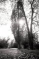 /album/deti-foti-/a10392519-1538834459690494-7718871112171306072-n-jpg/